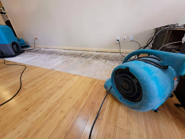 Professional Structural Drying technician working in California, MD